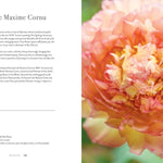 Peonies: Beautiful Varieties for Home & Garden - Chatsworth Boutique