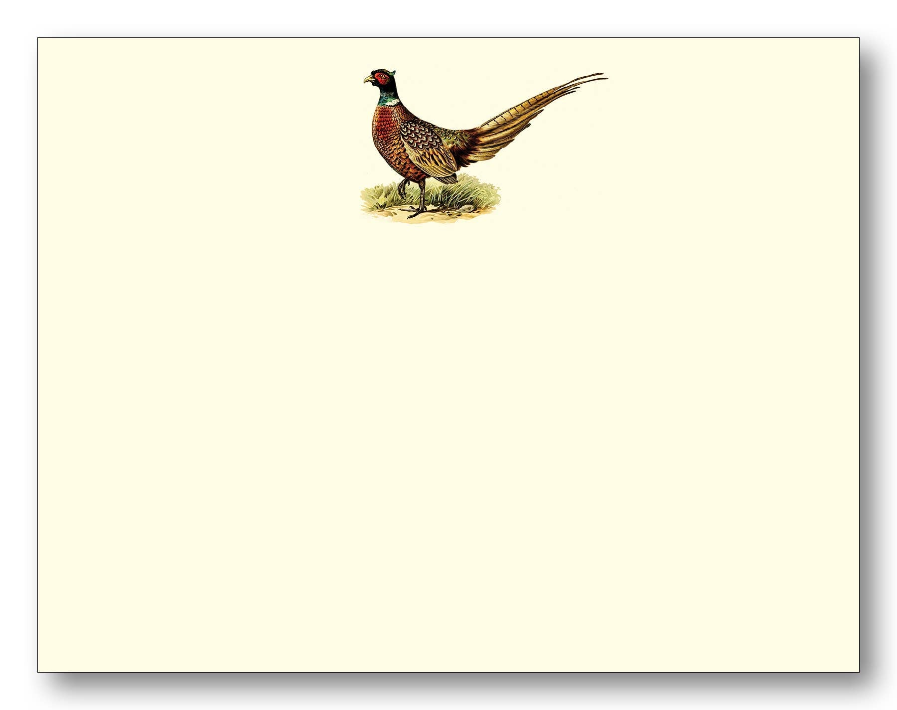 Pheasant Full Color FCE - Chatsworth Boutique