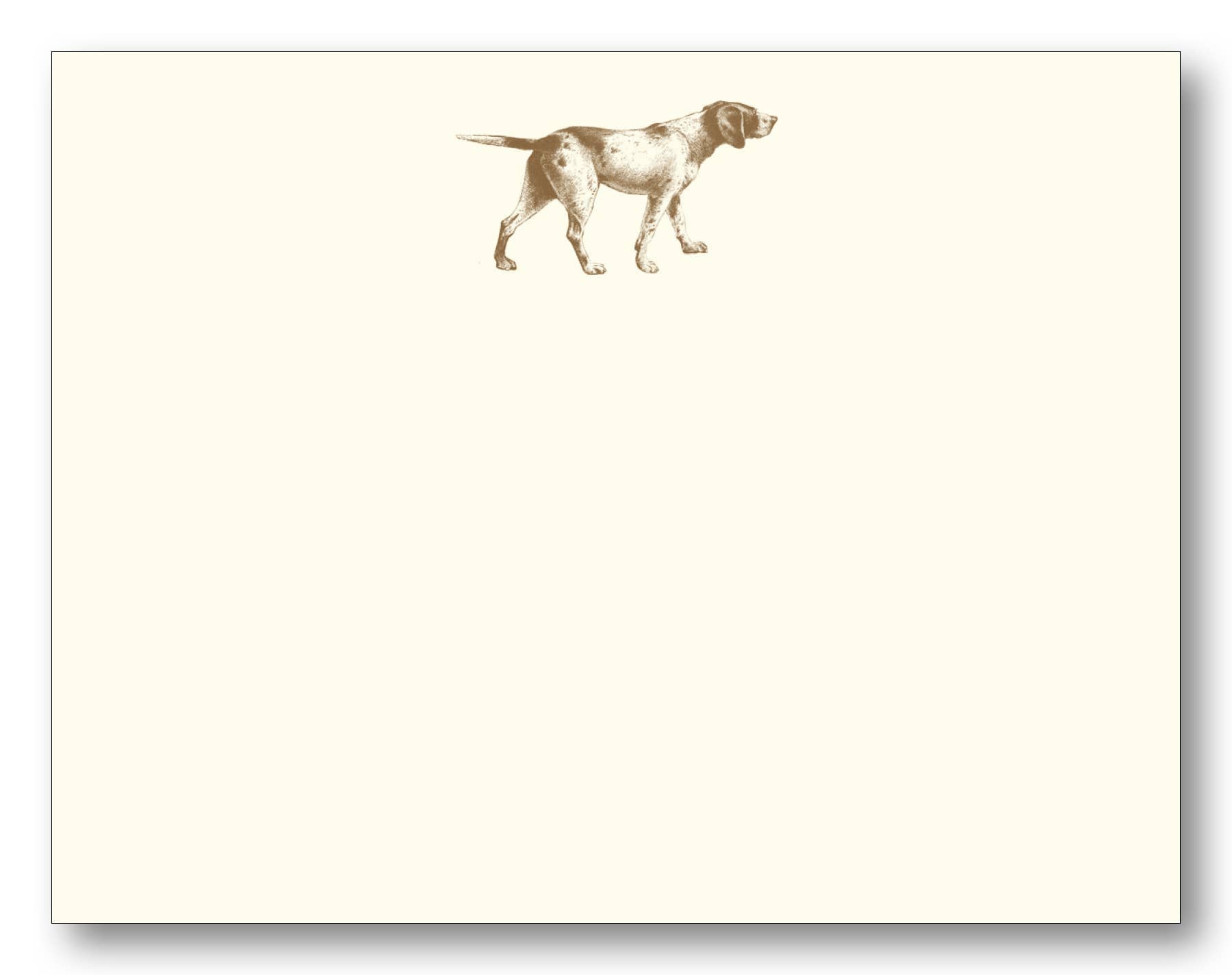 Pointer Chocolate FCE - Chatsworth Boutique