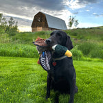 Mallard Dog Toy, ROCT Outdoor - lifestyle photo