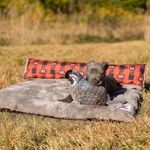 Quail Dog Toy, ROCT Outdoor - back view