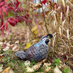 Quail Dog Toy, ROCT Outdoor - detail view