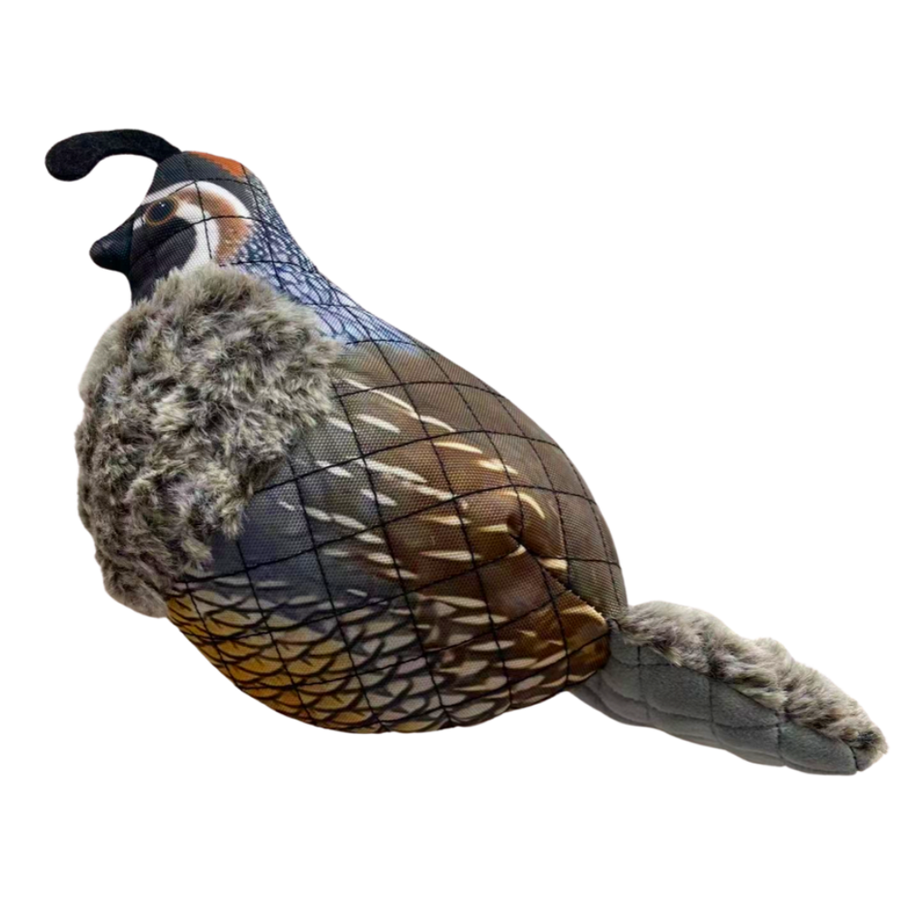 Quail Dog Toy, ROCT Outdoor - front view