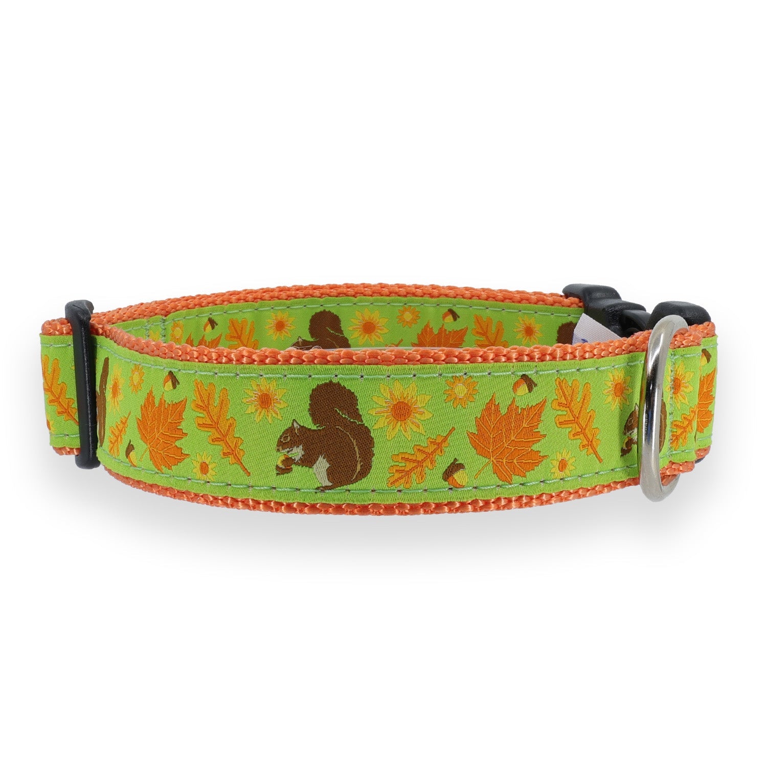 Squirrel Dog Collar - Chatsworth Boutique