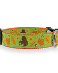Squirrel Dog Collar - Chatsworth Boutique
