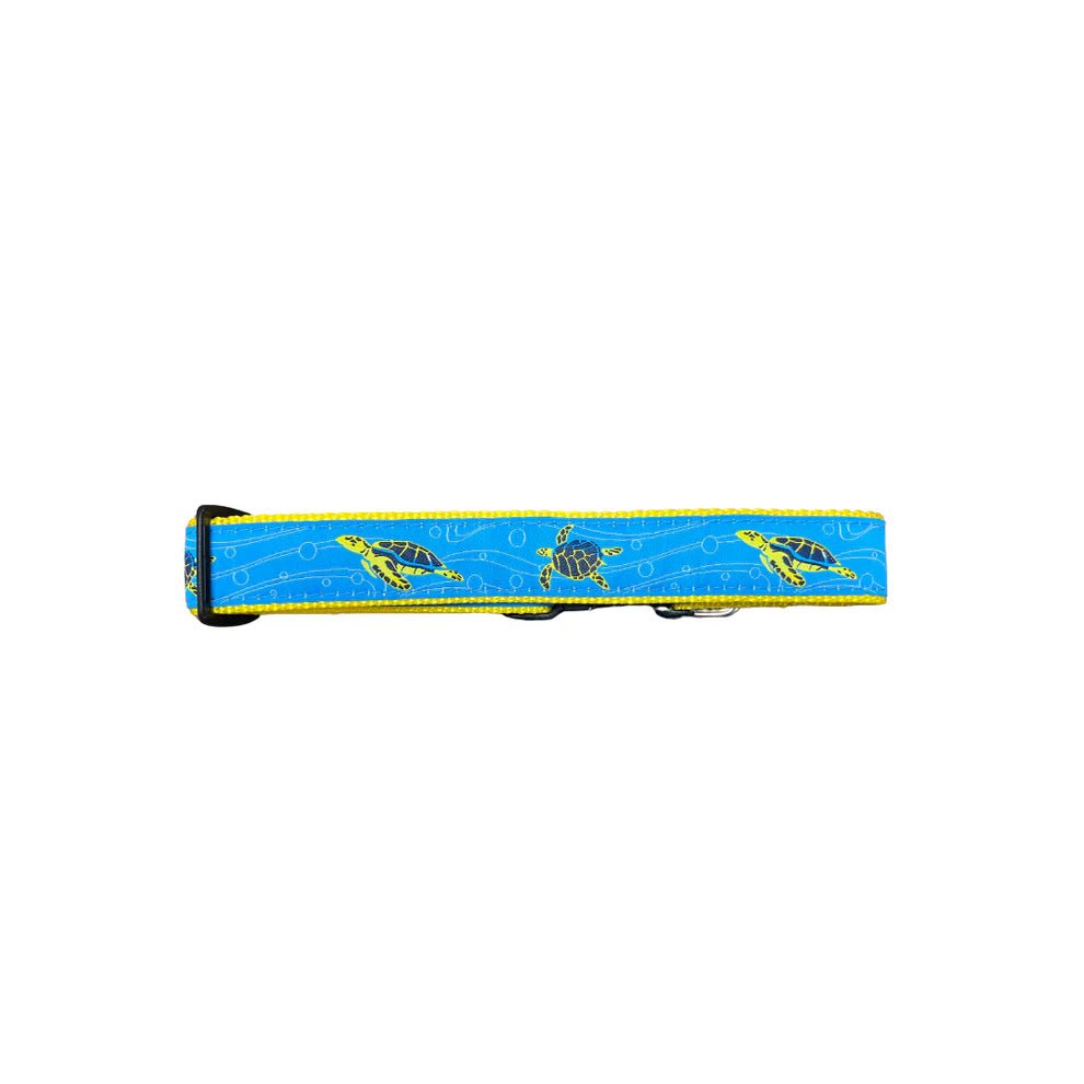 Turtle Dog Collar - Chatsworth Boutique